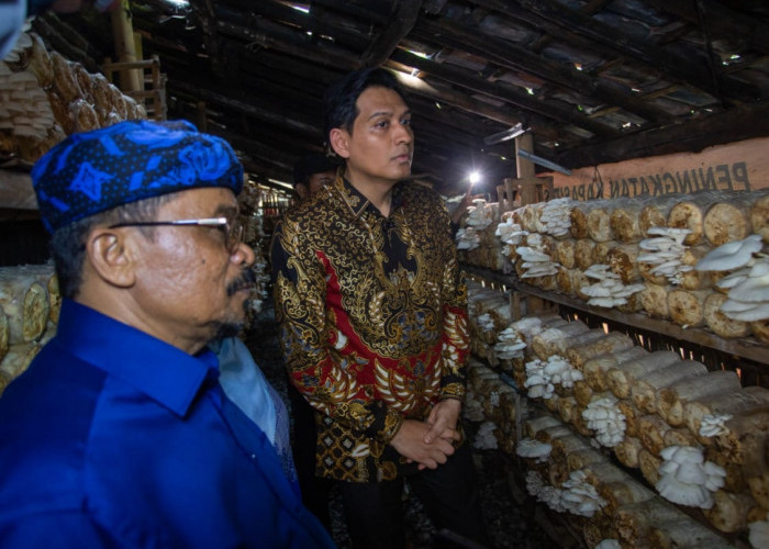 Bupati Lucky Hakim Apresiasi Pemdes Malangsemirang Luncurkan Program Lumbung Pangan
