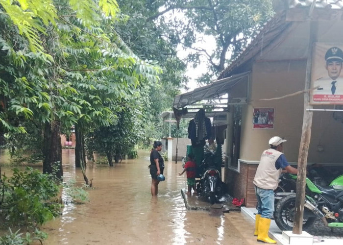 Ratusan Rumah di Desa Bangkaloa Ilir  Masih Terendam Banjir, Warga Tetap Bertahan 
