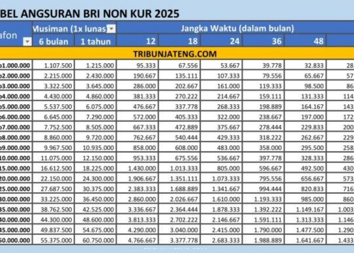 Pinjaman Modal Usaha Hinggal Rp500 Juta Dari Bank BRI dengan Bunga Ringan, Inidia Persyaratannya!