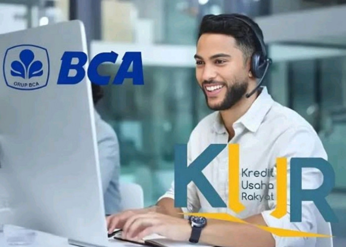 Terbaru Pengajuan KUR BCA Tanpa Jaminan Maksimal Berapa? Plafon dibuka Mulai 10-100 Juta, Berikut Skemanya 