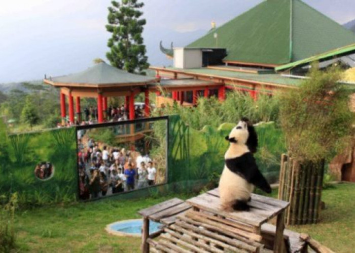 Ramadan 2023, Taman Safari Bogor Paket Promo Gede-gedean Nih! Rp150 Ribu Keliling dan  Visit Istana Panda Lho