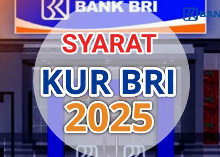WAJIB TAHU! UMKM Bisa Dapat Pinjaman Modal Rp500 Juta Tanpa Agunan di 2025, Begini Caranya!