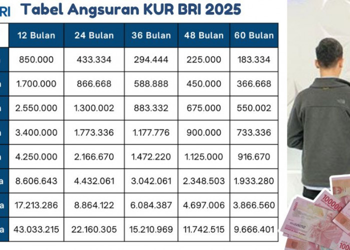 UMKM Bisa Ajukan Pinjaman KUR BRI Hingga 500 Juta, Ini Tabel Angsuran Per Bulan Lengkap Tenor dan Syaratnya 