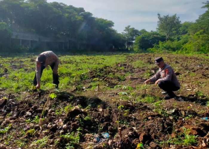 Dukung Ketahanan Pangan Nasional Polsek Haurgeulis Sulap Lahan Tidur Jadi Produktif