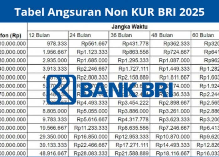 Pinjaman NON KUR BRI UMKM 2025: Solusi Modal Usaha dengan Cicilan Mulai dari 146 Ribu Tenor Hingga 5 Tahun