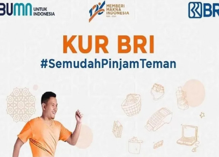 Intip Plafon Rp500 Juta KUR BRI Terbaru 2025 Yuk, Angsuran Rp216.000 Ribu Perbulan & Bunga 6% Pertahun  