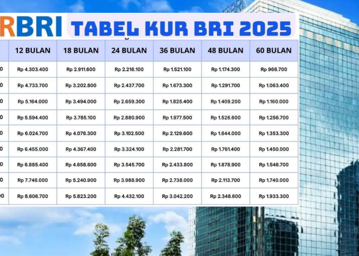 Cicilan Hanya Rp19.000 Per Bulanya! Intip Tabel Angsuran Terbaru KUR BRI 2025 Lengkap Dengan Syarat Pengajuan