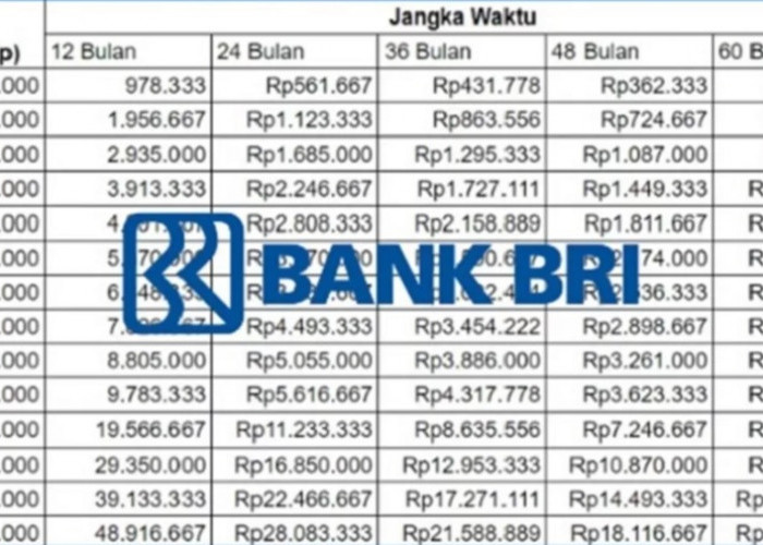 Angsuran Pinjaman KUR BRI 2025, Dapatkan Limit Hingga 500 Juta dengan Cicilan 146 Ribu