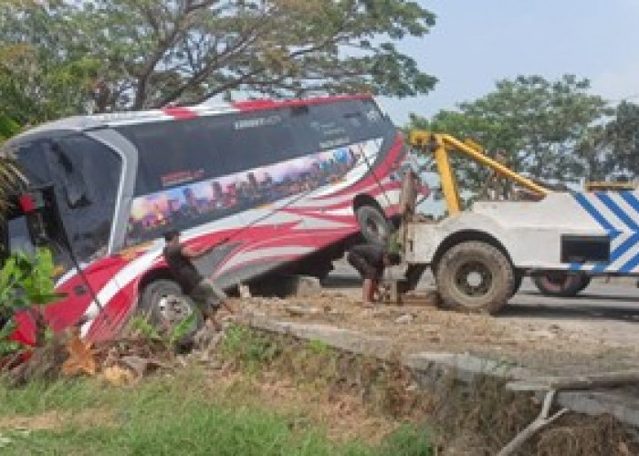 Kecelakaan Bus Seruduk Motor di Pantura Widasari, 1 Tewas