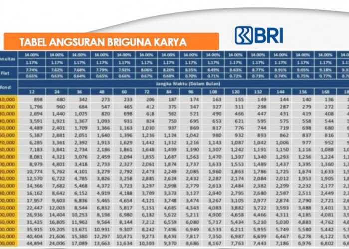 Pinjaman KTA BRI Tanpa Agunan : Solusi Modal Usaha Tanpa Jaminan Hingga Rp500 Juta, Cicilan Ringan 5 Tahun