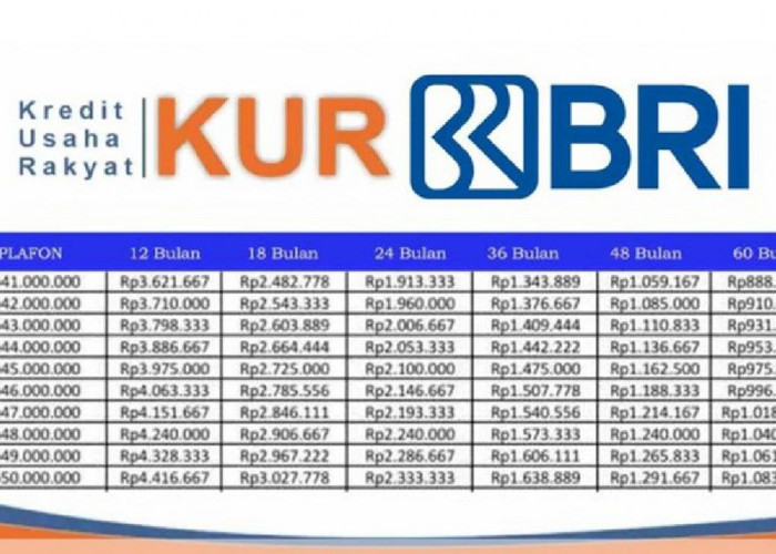 Limit dan Angsuran KUR BRI 2025 Diperbarui! Cek Berapa Maksimal Pinjaman dan Angsuran Terbarunya di Sini!