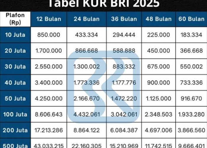 KUR BRI 2025 Kembali Dibuka, Solusi Pembiayaan Usaha Ringan untuk Pelaku UMKM