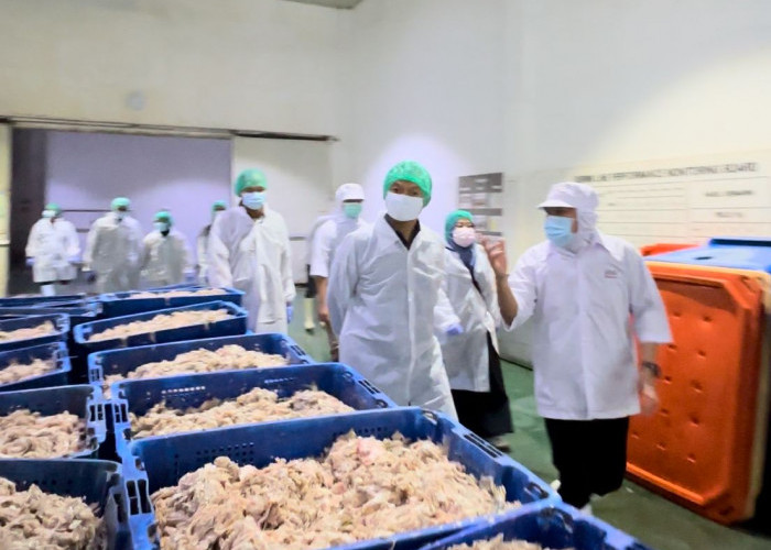 Anggota DPR RI Baher Datangi PT JAVA Seafood, Bau Busuk Harus Segera Dihentikan 