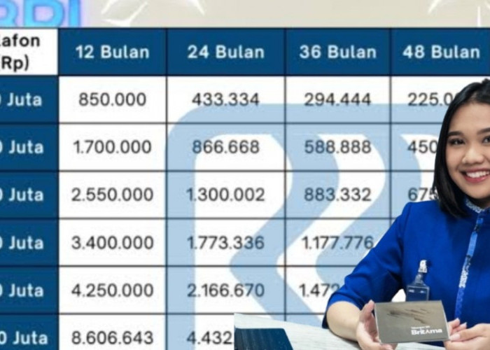 Angsuran KUR BRI 100 Juta 5 Tahun Cicilannya Segini, Relevan Buat Pinjaman UMKM Agar Dapat Modal Tambahan