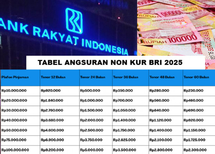 Pilih Bunga Ringan atau Proses Cepat! Non KUR BRI VS Pinjaman Konvensional Lain, Cek Tabel Angsuran Lengkap