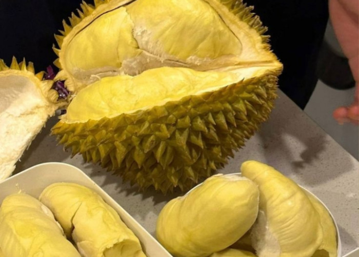 Kamu Suka Durian? Siap-Siap Kaget dengan Manfaat Rahasianya Berikut Ini