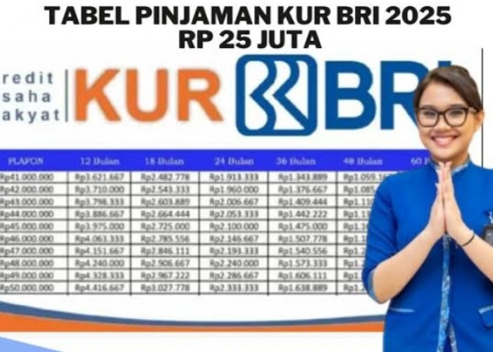UMKM Berkembang, Pinjaman KUR BRI 2025 Tabel Angsuran 25 Juta! Cicilan Terbaru Mulai Rp216.667 per bulan