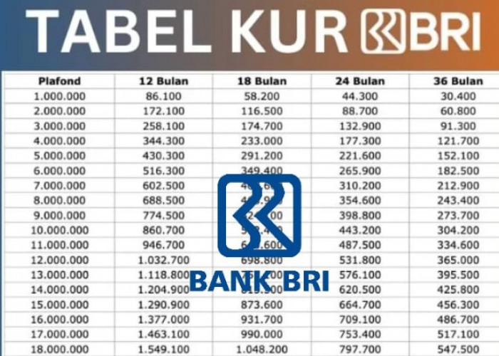 Rincian Pinjaman KUR BRI Tabel Angsuran 25 Juta, Berikut Cicilan Beserta Tenor Pengajuan yang Bisa Dipilih 