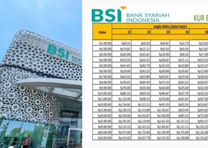 Cari Pinjaman Halal? KUR BSI Tawarkan Pinjaman Hingga Rp50 Juta Tenornya 36 Bulan, Intip Syarat Pengajuanya