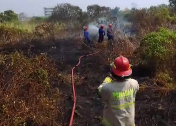 Diduga Karena Puntung Rokok, Lahan Kosong di Desa Dadap Kebakaran