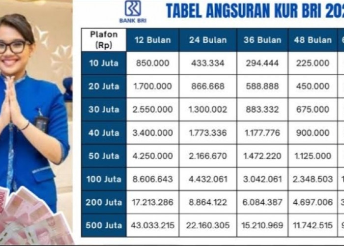TERBARU Jangan Kaget! Tabel Angsuran KUR BRI 2025 Pinjaman Rp100 Juta, Cicilan Rp200 Ribu Bunga 6 Persen 