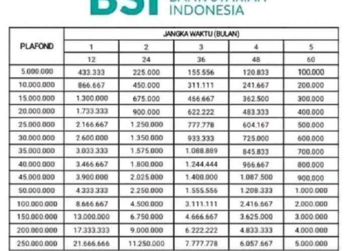 Syarat KUR Syariah BSI Lengkap Beserta Tabel dan Cicilan, Berikut Skema Angsurannya Mulai dari 193 Ribu