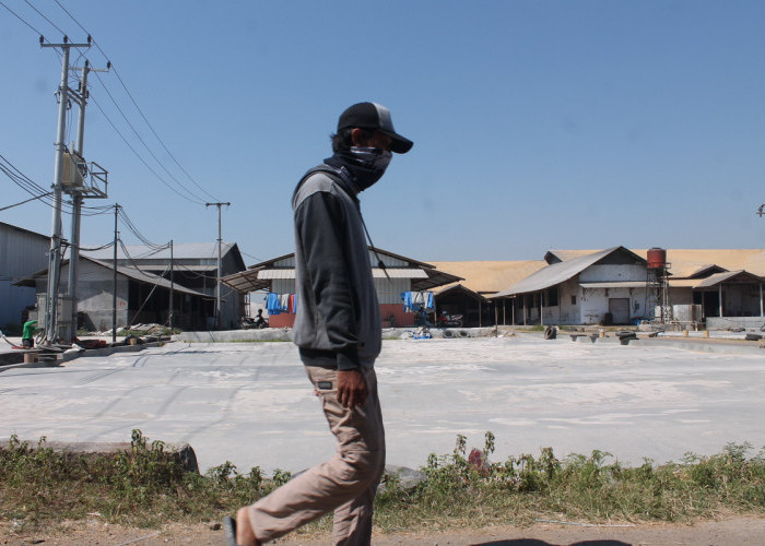 Dampak Harga Gabah Mahal, Pabrik Penggilingan Padi Setop Produksi