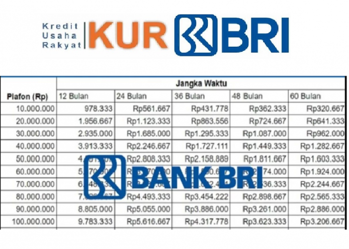 Tabel Angsuran KUR BRI 2025 Plafon Rp40 Juta Cicil Mulai Rp200 Ribu, Simak Angsuran dan Tenor Lengkapnya