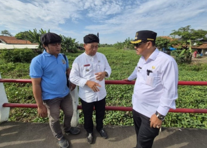 Pemkab Indramayu Gerak Cepat Atasi Sungai Maja yang Tersumbat Eceng Gondok