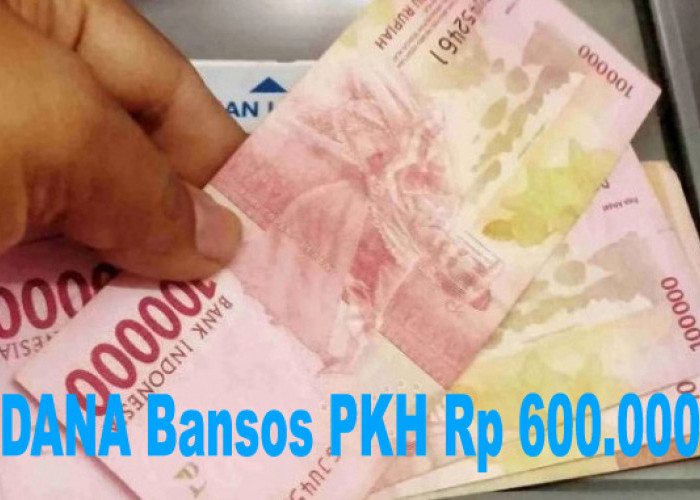 Kapan Cair Bansos PKH 2025 Tahap II? Terbaru! Inilah 5 Cara agar NIK KTP Masuk Daftar Penerima