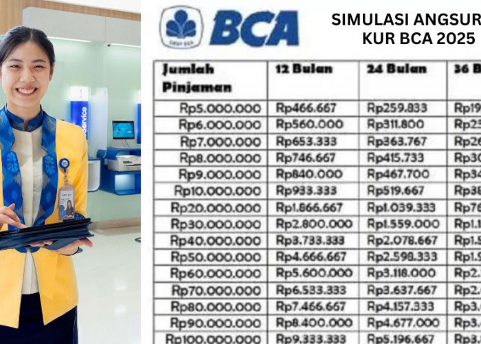KUR BCA Tanpa Jaminan Bisa Cair Rp 100 Juta, Ini Tabel Cicilan dan Syarat Lengkap untuk Kredit UMKM 2025