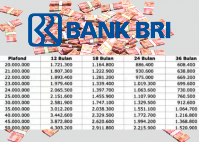 Modal Usaha Kini Lebih Mudah! Ajukan KUR BRI 2025 dan Nikmati Cicilan Rp2 Jutaan untuk Pinjaman Rp100 Juta!