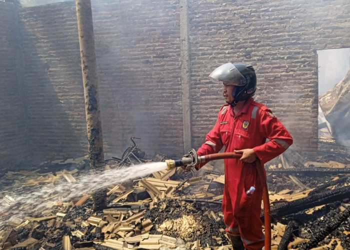 Damkar Indramayu Siaga 24 Jam, Kebakaran Meningkat Saat Musim Kemarau