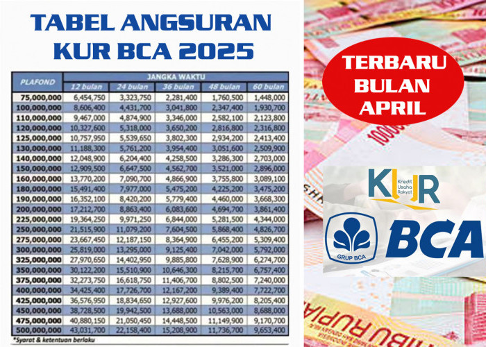 UMKM Wajib Tahu! Skema Pinjaman KUR BCA 2025 Plafon Rp100 Juta Tanpa Jaminan, Cicilan Rp 1 Jutaan Perbulan