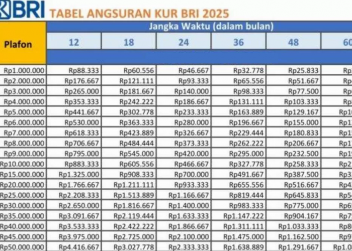 Simpel Banget! Inilah Cara Gampang Untuk Pengajuan KUR BRI 2025 Untuk Modal Usaha Tanpa Agunan!