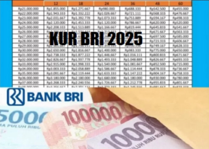 Pinjaman KUR BRI Bunga Spesial 2025 Hanya 3% Pertahun! Plafon Rp500 Juta Bisa Ajukan Dengan Syarat Berikut 