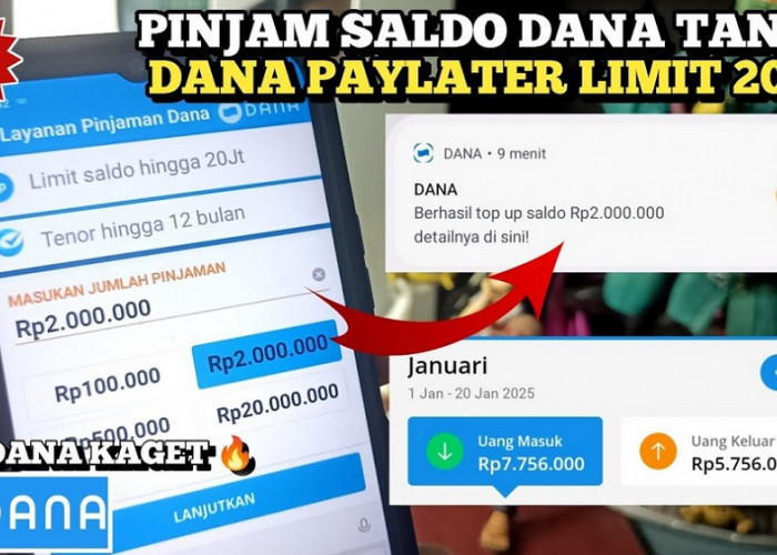 Pinjam 5 Juta Langsung Di ACC, Ini Cara Aktifkan Fitur Pinjaman Saldo DANA Langsung di Aplikasi