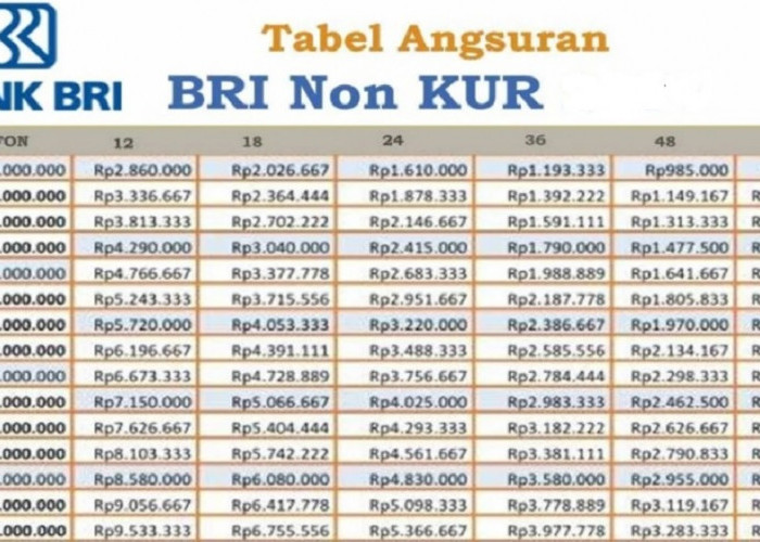Pinjaman Non KUR BRI Hadir dengan Bunga Mulai 1 Persen! Berikut Simulasi Pinjaman 250 Juta Cicilan 100 Ribu