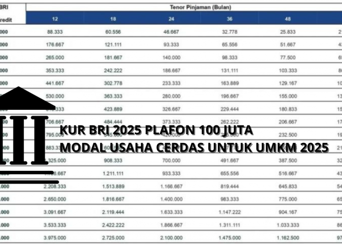 Bunga Cuman 6 Persen Saja! KUR BRI 2025 Plafon Rp100 Juta Solusi Modal Usaha Terbaik Untuk UMKM Saat Ini