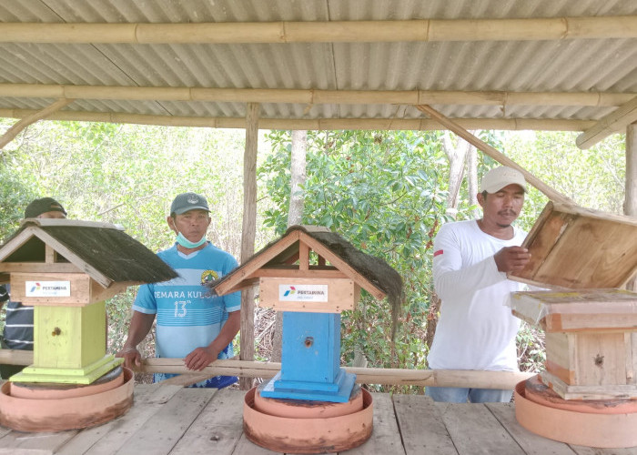 Harmoni Pesisir Merubah Hutan Desa Jadi Kawasan Hijau Menuju Wisata Terintegrasi Cemara Kulon