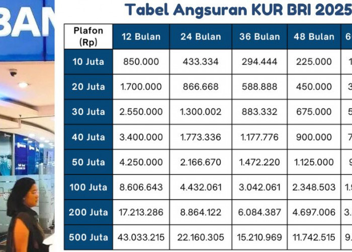 Angsuran KUR BRI 2025 Pinjaman 50 Juta 5 Tahun, Simak Rincian Cicilan Terbaru dan Syarat Pengajuan Mudah