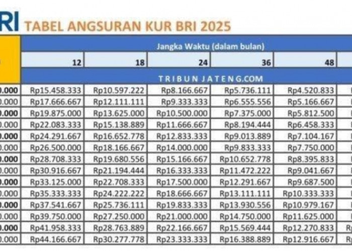 Tabel KUR Pinjaman Rp200 Juta Hingga Rp500 Juta, Bank BRI Membuka Akses Permodalan Untuk Pelaku Usaha 
