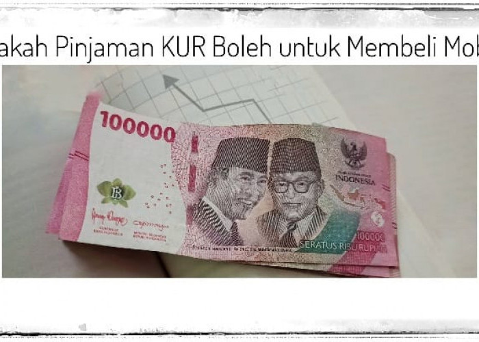 Banyak yang Salah Kaprah! Ternyata Pinjaman KUR Tidak Boleh Dipakai untuk Membeli Mobil, Begini Kata Ahli