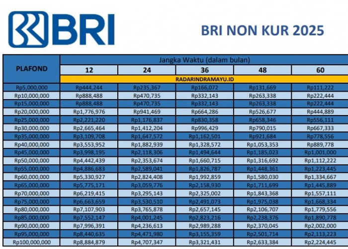 Cicilan Terbaru Tabel Pinjaman Non KUR BRI 2025, Dapatkan Cicilan Mulai dari 146 Ribu dengan Pinjaman 250 Juta