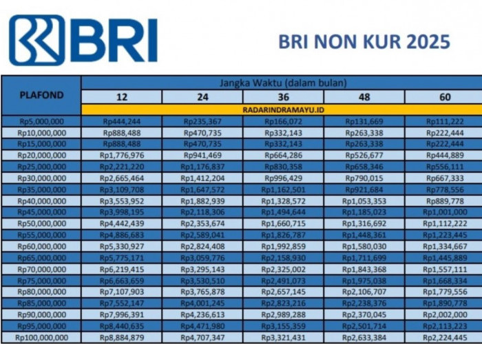 Bisa Dicicil Mulai dari 146 Ribu, Berikut Skema Pinjaman Non KUR BRI 250 Juta Lengkap dengan Syarat 2025
