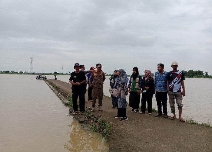 Sungai Asin Kembali Meluap, Puluhan Hektar Sawah Kebanjiran