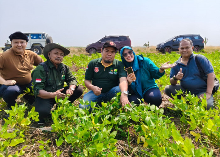 H Mulyadi, Putra Asli Indramayu yang Sukses di Jakarta Kini Fokus Kembangkan Pertanian Kedelai