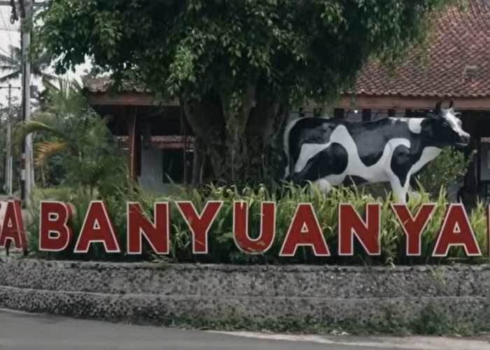 Intip Kisah Desa Banyuanyar, Desa Ramah Lingkungan yang Terus Maju Lewat ‎Pemberdayaan Desa BRILiaN ‎