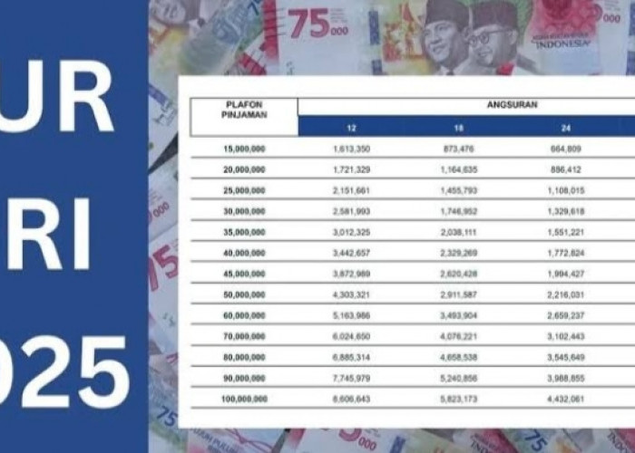 Angsuran KUR BRI Rp150 Juta dengan Lima Pilihan Tenor! Cicilan Semakin Ringan, Bagus Untuk Ekspansi Bisnis 