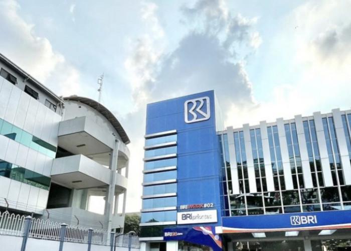 Limit KUR Mikro BRI 2025 Naik Jadi Rp50 Juta! Pelaku UMKM Wajib Tahu Syarat & Cara Pengajuannya